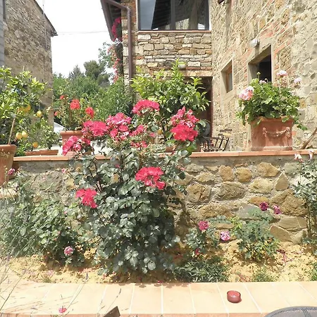 Apartment Montebeni