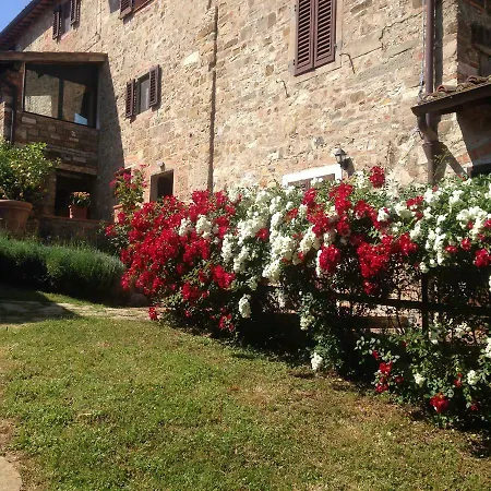 Apartment Montebeni