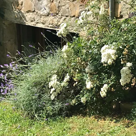 Montebeni Apartment Greve in Chianti